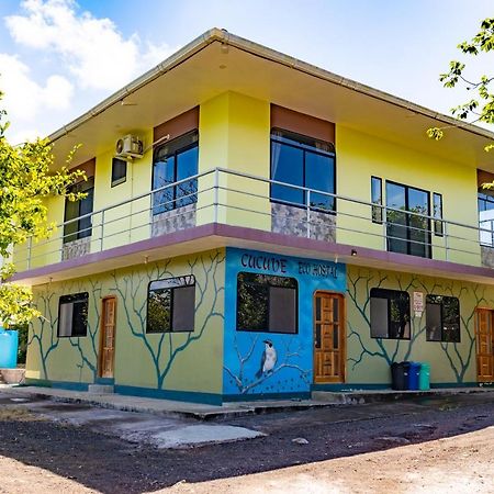 Cucuve Eco Hostal ปูแอร์โต บาเกริโซ โมเรโน ภายนอก รูปภาพ