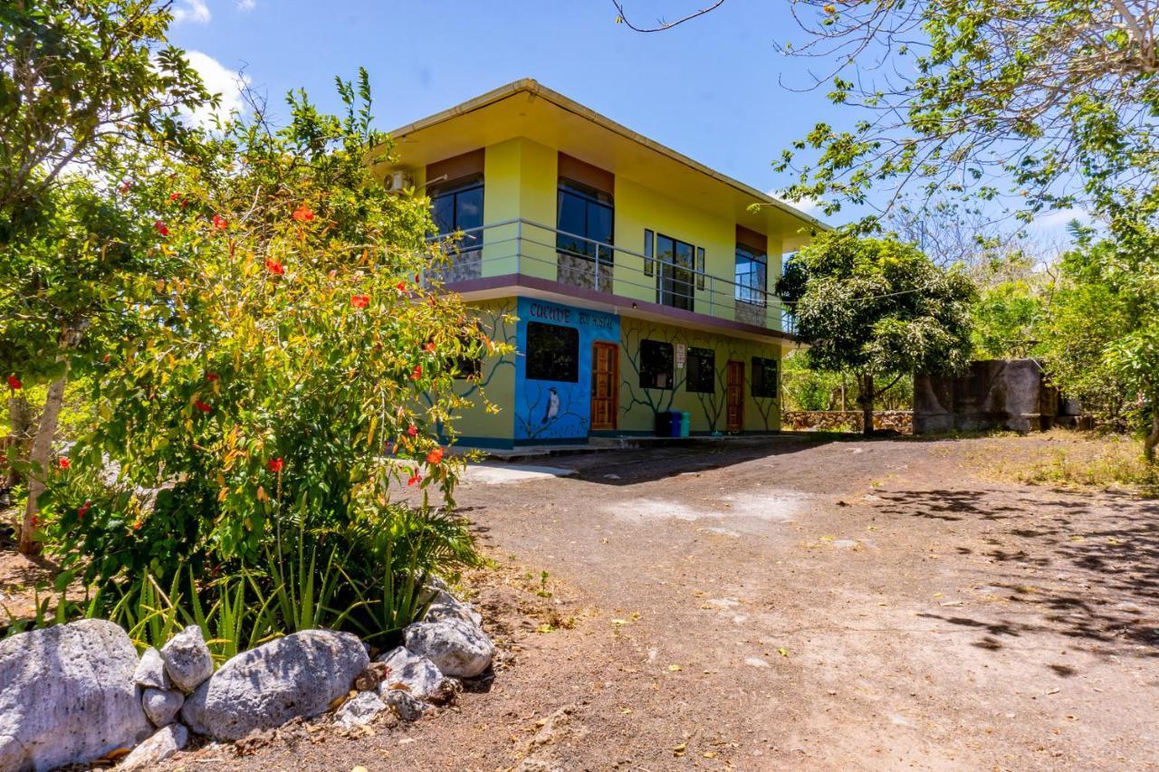 Cucuve Eco Hostal ปูแอร์โต บาเกริโซ โมเรโน ภายนอก รูปภาพ