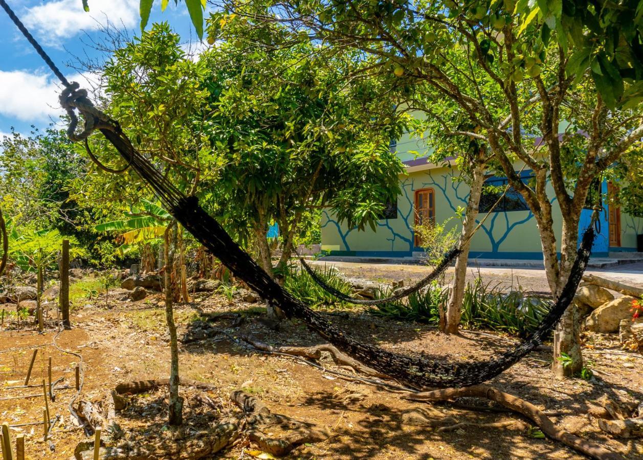 Cucuve Eco Hostal ปูแอร์โต บาเกริโซ โมเรโน ภายนอก รูปภาพ