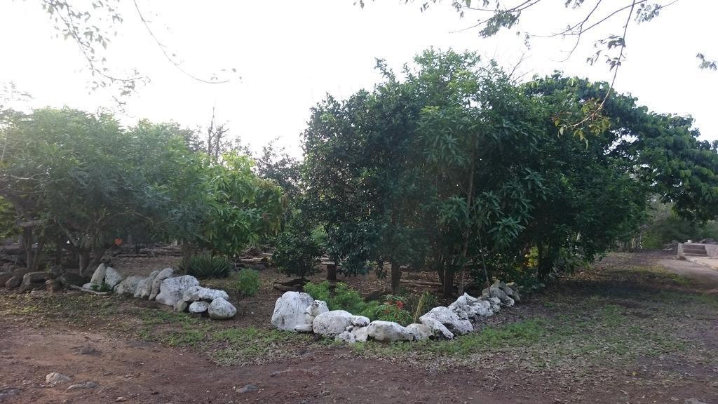 Cucuve Eco Hostal ปูแอร์โต บาเกริโซ โมเรโน ภายนอก รูปภาพ