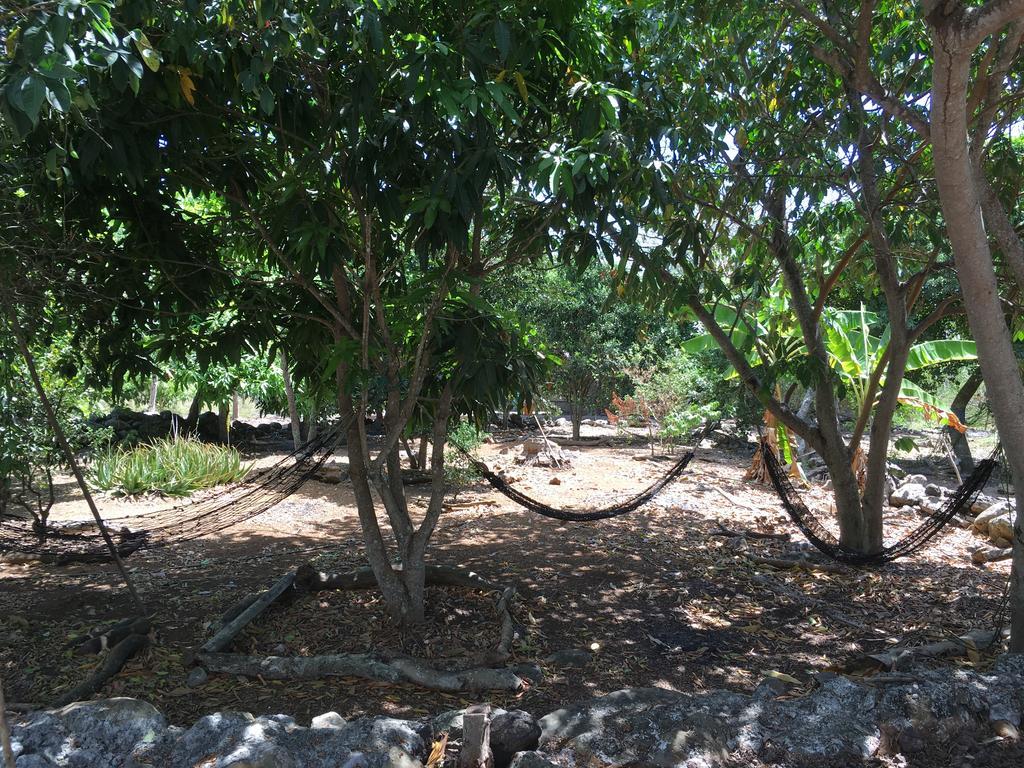 Cucuve Eco Hostal ปูแอร์โต บาเกริโซ โมเรโน ภายนอก รูปภาพ