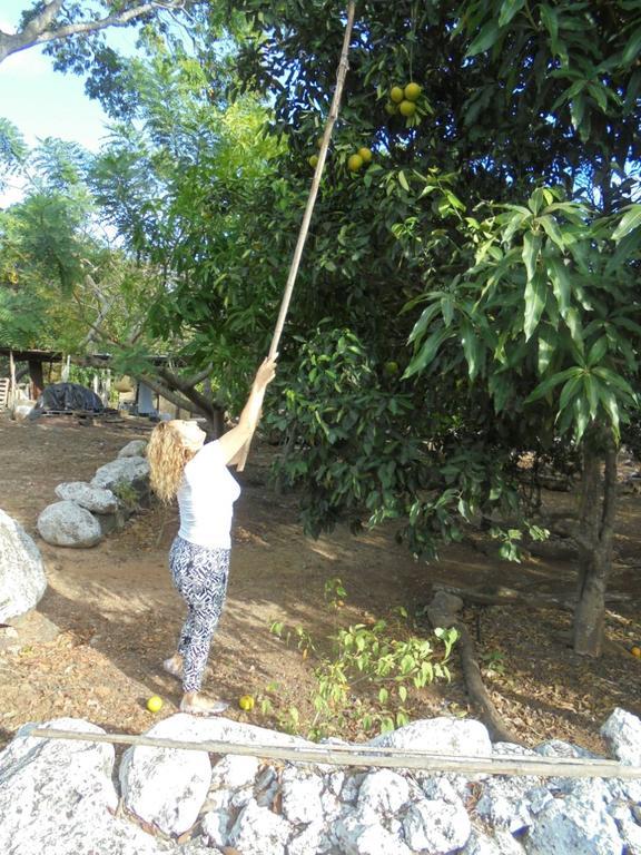 Cucuve Eco Hostal ปูแอร์โต บาเกริโซ โมเรโน ภายนอก รูปภาพ